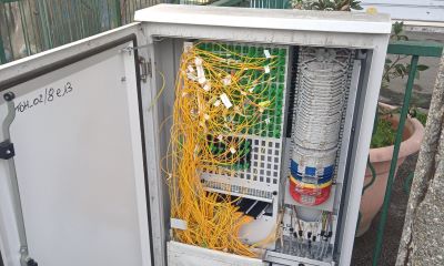 fibra.1